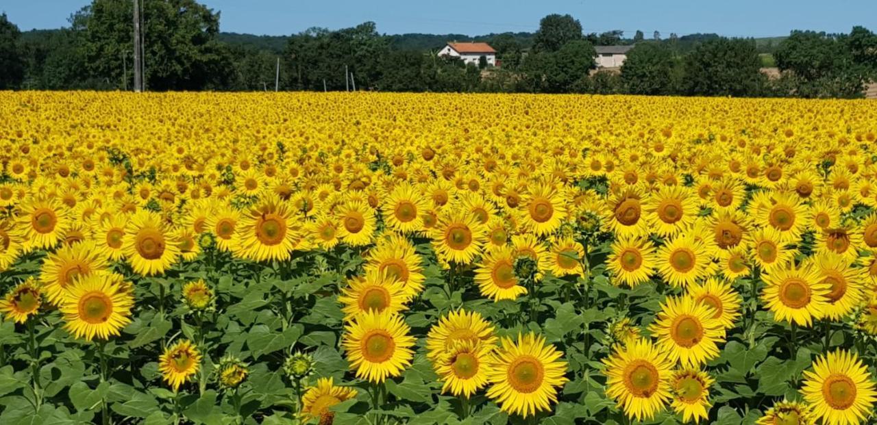 Pomport Les Grands Bois B&B 외부 사진